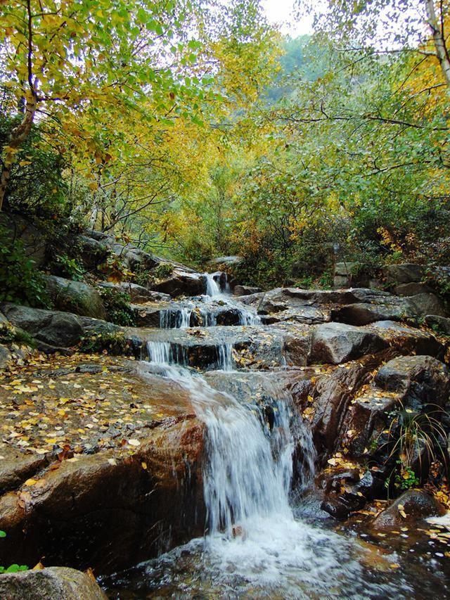71岁退休教师救起64岁落水阿姨